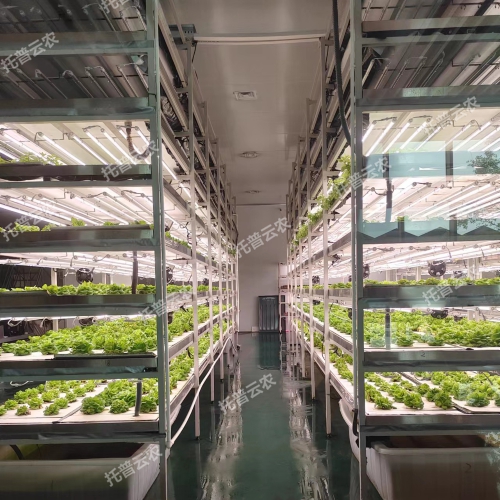 植物组培实验室常用仪器设备清单（2024）